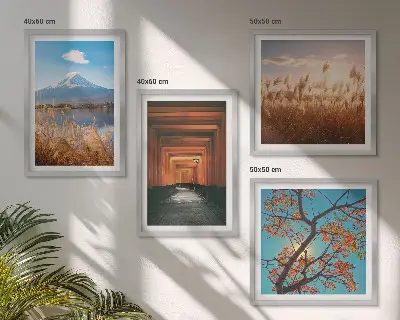 Set de 4 cuadros para salón con motivos de paisajes naturales japoneses