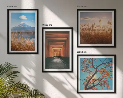 Set de 4 cuadros para salón con motivos de paisajes naturales japoneses