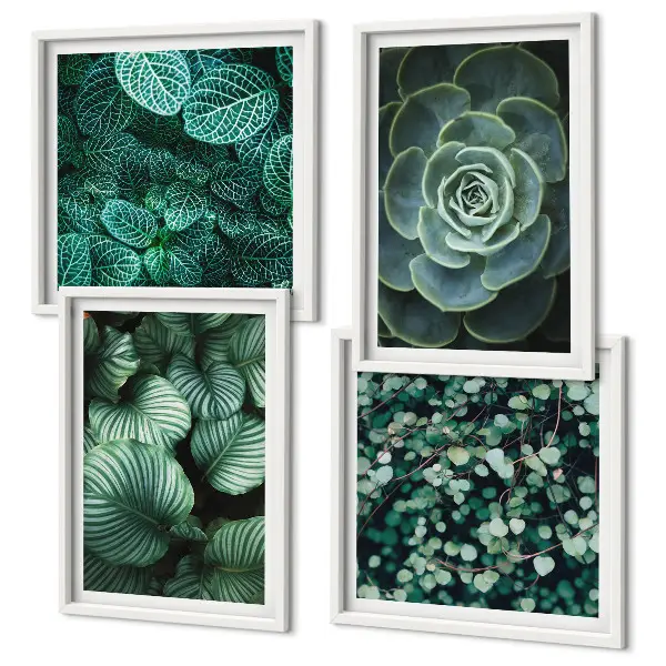 Set de 4 cuadros para salón con diseño de hojas suculentas verdes