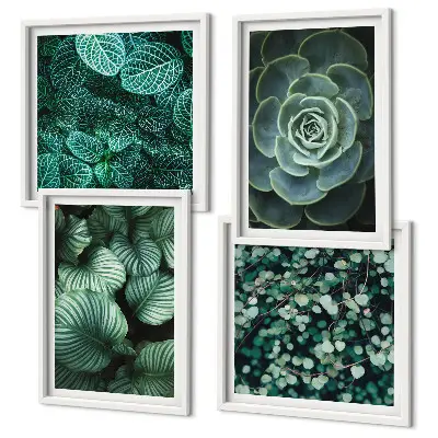 Set de 4 cuadros para salón con diseño de hojas suculentas verdes