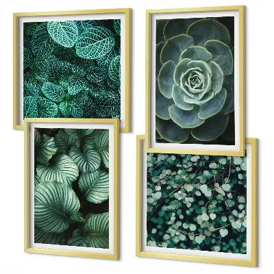 Set de 4 cuadros para salón con diseño de hojas suculentas verdes