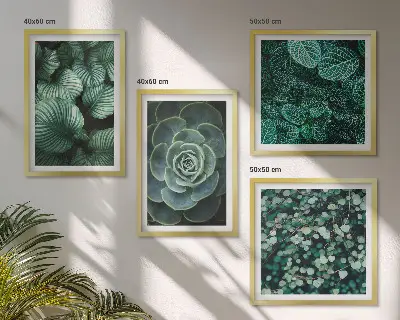 Set de 4 cuadros para salón con diseño de hojas suculentas verdes