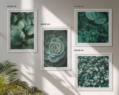 Set de 4 cuadros para salón con diseño de hojas suculentas verdes