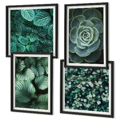 Set de 4 cuadros para salón con diseño de hojas suculentas verdes