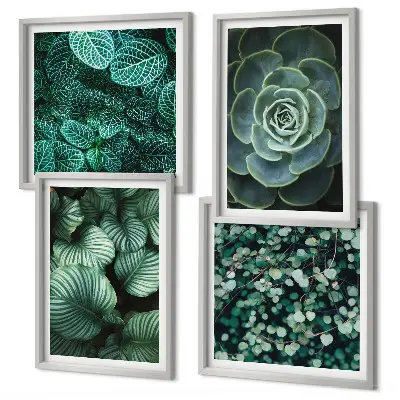 Set de 4 cuadros para salón con diseño de hojas suculentas verdes
