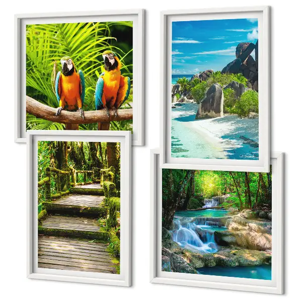 Set de 4 cuadros para salón con diseño de cascada con loros en el bosque tropical