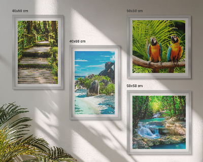Set de 4 cuadros para salón Cascada de loros del bosque tropical