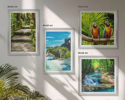 Set de 4 cuadros para salón con diseño de cascada con loros en el bosque tropical