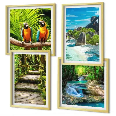 Set de 4 cuadros para salón con diseño de cascada con loros en el bosque tropical