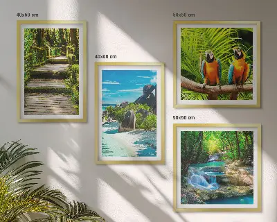 Set de 4 cuadros para salón con diseño de cascada con loros en el bosque tropical