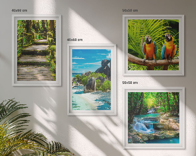 Set de 4 cuadros para salón Cascada de loros del bosque tropical