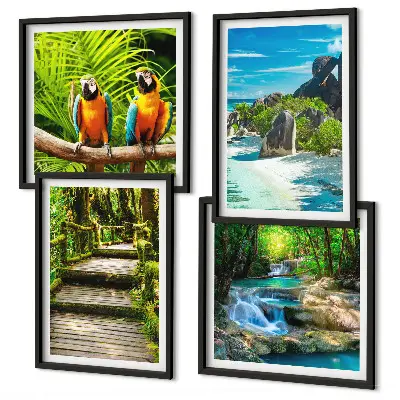 Set de 4 cuadros para salón con diseño de cascada con loros en el bosque tropical