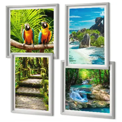 Set de 4 cuadros para salón con diseño de cascada con loros en el bosque tropical
