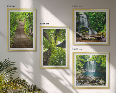 Set de cuadros modernos para salón Sendero, bosque, cascada, vegetación