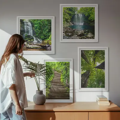 Set de cuadros modernos para salón con diseño de sendero en bosque con cascada y vegetación