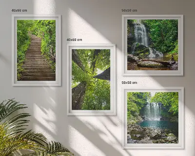 Set de cuadros modernos para salón con diseño de sendero en bosque con cascada y vegetación