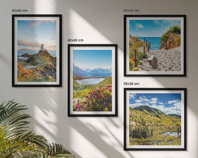 Set de 4 cuadros para salón Playa, faro, montañas, prados, flores