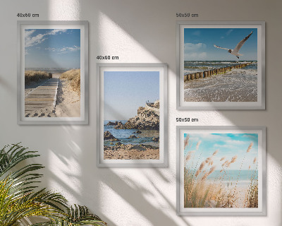 Galería de pared Acantilados de madera para senderos de playa