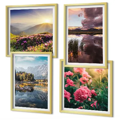 Galería de pared flores en un prado de jardín de montaña con agua