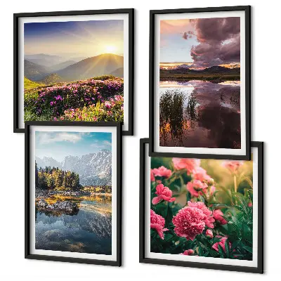 Galería de pared flores en un prado de jardín de montaña con agua