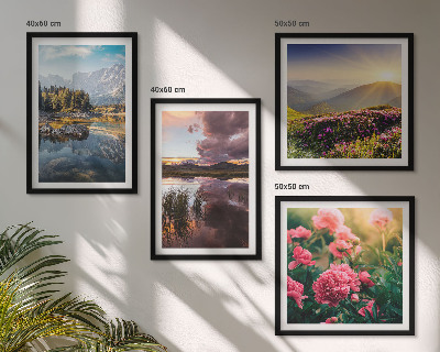 Galería de pared Flores jardín montaña prado agua