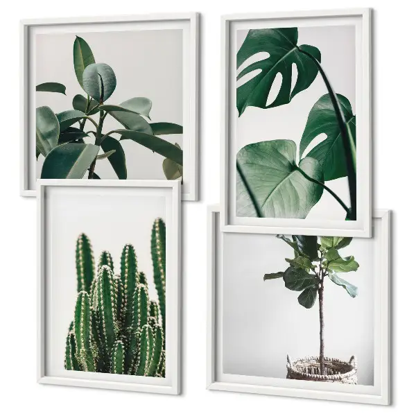Set de 4 cuadros decorativos para salón diseño de estética de plantas tropicales