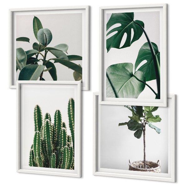 Set de 4 cuadros para salón Estética de las plantas tropicales