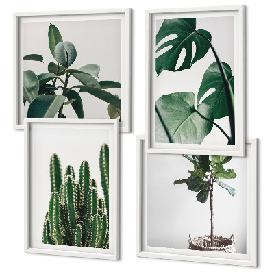 Set de 4 cuadros para salón Estética de las plantas tropicales