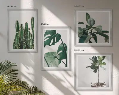 Set de 4 cuadros decorativos para salón diseño de estética de plantas tropicales