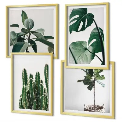Set de 4 cuadros decorativos para salón diseño de estética de plantas tropicales