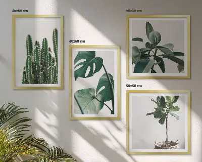 Set de 4 cuadros decorativos para salón diseño de estética de plantas tropicales