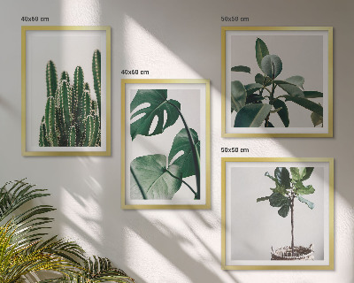 Set de 4 cuadros para salón Estética de las plantas tropicales
