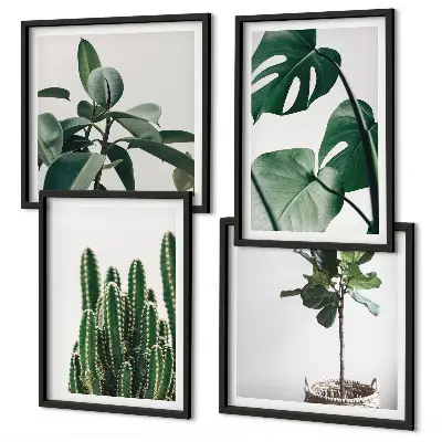 Set de 4 cuadros decorativos para salón diseño de estética de plantas tropicales