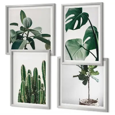Set de 4 cuadros decorativos para salón diseño de estética de plantas tropicales