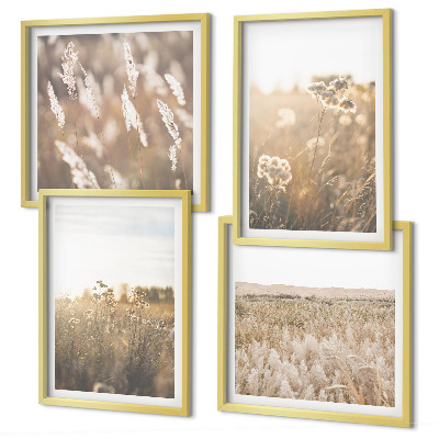 Galería de pared Flores de césped paisajístico cálidas
