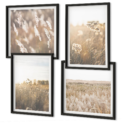 Galería de pared Flores de césped paisajístico cálidas