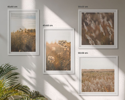 Set de 4 cuadros para salón Praderas de verano, flores, puesta de sol