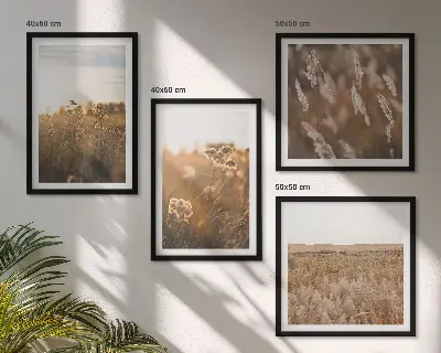 Set de 4 cuadros para salón motivo de praderas de verano con flores y puesta de sol