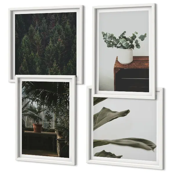 Set de 4 cuadros de plantas rústicas en maceta decoración para salón