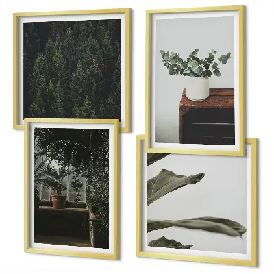 Set de 4 cuadros de plantas rústicas en maceta decoración para salón