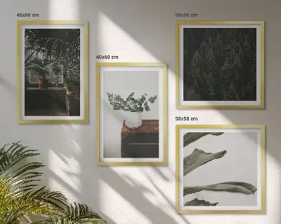 Set de 4 cuadros de plantas rústicas en maceta decoración para salón