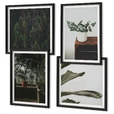 Set de 4 cuadros de plantas rústicas en maceta decoración para salón