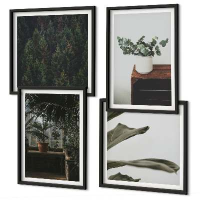 Set de 4 cuadros para salón Plantas rústicas en maceta