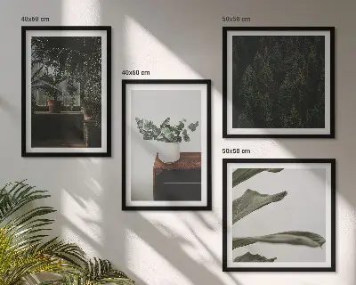 Set de 4 cuadros de plantas rústicas en maceta decoración para salón