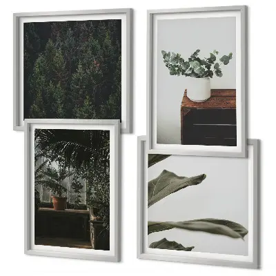 Set de 4 cuadros de plantas rústicas en maceta decoración para salón