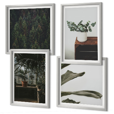 Set de 4 cuadros para salón Plantas rústicas en maceta