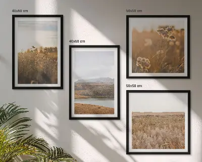 Set de 4 cuadros de paisajes con motivos de prados, montañas y lago para salón