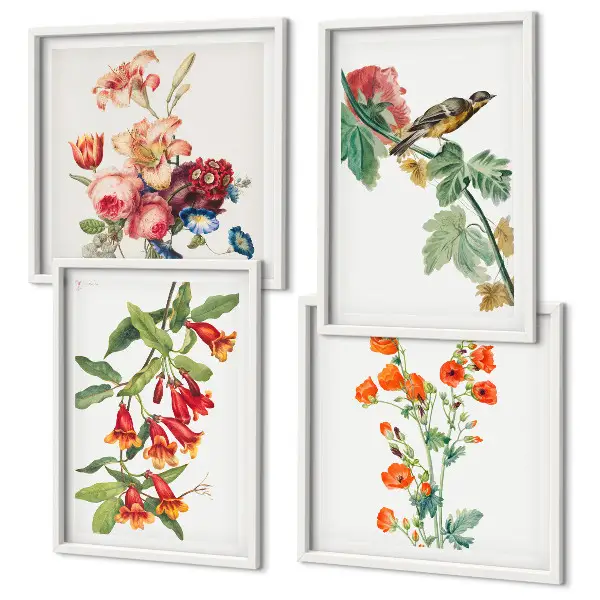 Set de 4 cuadros para salón diseño de pájaro retro con flores pintadas