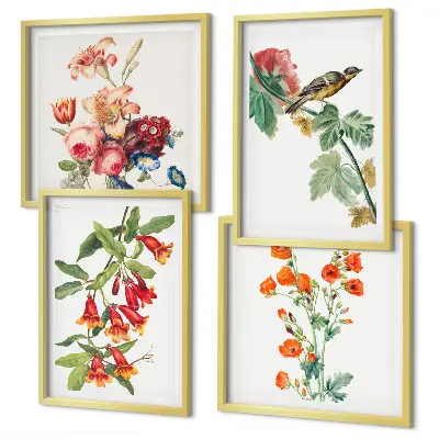 Set de 4 cuadros para salón diseño de pájaro retro con flores pintadas