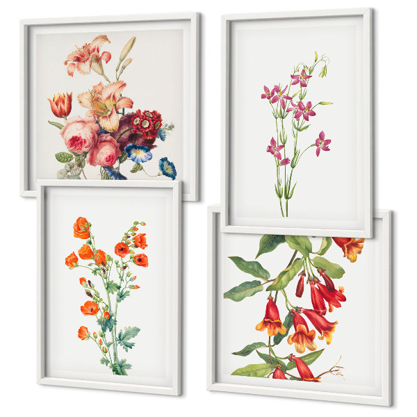 Galería de pared Pintura de flores al estilo retro